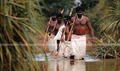 Palai Photo 4