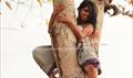 Palai Photo 2