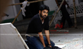 Panjaa Photo 4