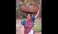 Snehadaram Photo 4