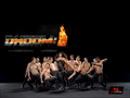 Dhoom 3 Wallpaper 4