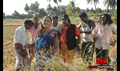 Kaithiyin Agarathi Photo 1