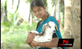 Payapulla Photo 1