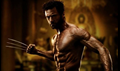 The Wolverine Photo 2