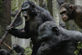 Dawn of the Planet of the Apes Photo 4