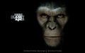 Dawn of the Planet of the Apes Wallpaper 3