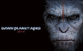 Dawn of the Planet of the Apes Wallpaper 2