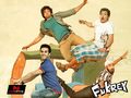 Fukrey Wallpaper 2