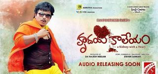 Sentiment Song Hrudaya Kaleyam