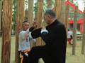 Ip Man Photo 1