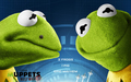 Muppets Most Wanted Wallpaper 1