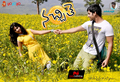 Nachithe Wallpaper 1