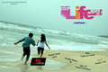 Nan Life Alli Wallpaper 4