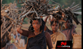 Paradesi Photo 4