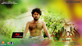 Pullaiah Prema Katha Wallpaper 3