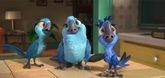 Trailer 1 - Rio 2 Video