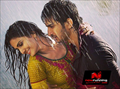 Shuddh Desi Romance Photo 4