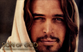 Son of God Wallpaper 1