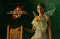 The Hunger Games: Catching Fire Wallpaper 4