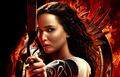 The Hunger Games: Catching Fire Wallpaper 3