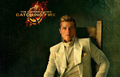 The Hunger Games: Catching Fire Wallpaper 2