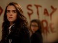 Vampire Academy Wallpaper 2