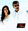 Veeram Photo 4