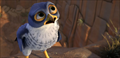 Zambezia Photo 4