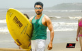 Anjaan Wallpaper 3