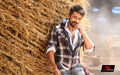 Anjaan Wallpaper 2