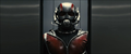 Ant-Man Photo 2