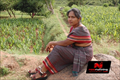 Athimalai Muthupandi Photo 1
