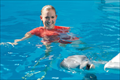 Dolphin Tale 2 Photo 2