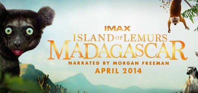 Island of Lemurs: Madagascar English Movie