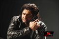 Master Mind Photo 2