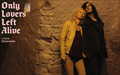 Only Lovers Left Alive Wallpaper 1