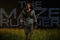 The Maze Runner Photo 4