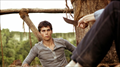 The Maze Runner Photo 1