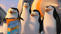 Penguins of Madagascar Photo 3