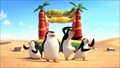 Penguins of Madagascar Photo 2