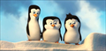 Penguins of Madagascar Photo 1