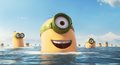 Minions Wallpaper 4