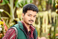 Puli Photo 4