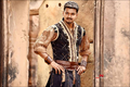 Puli Photo 3