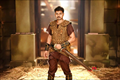 Puli Photo 1