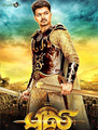 Click to know more about Puli