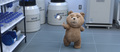 Ted 2 Photo 3