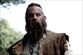 The Last Witch Hunter Photo 4