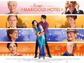 The Second Best Exotic Marigold Hotel Wallpaper 1