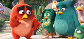 Trailer  - The Angry Birds Movie Video